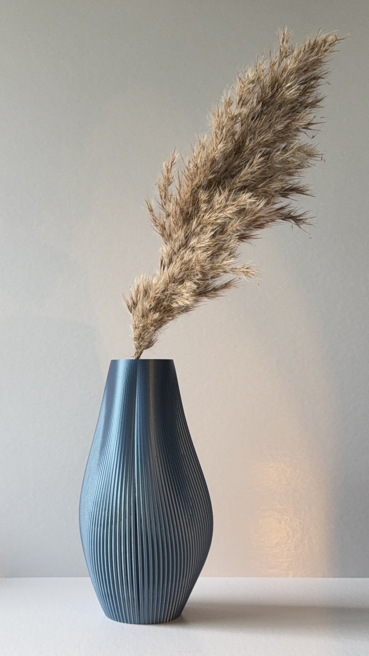 DRY VESSELS COLLECTION - CORPUS